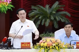 Bình Thuận khẩn trương hoàn chỉnh hồ sơ, trình phê duyệt và tổ chức thực hiện hiệu quả quy hoạch tỉnh