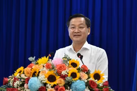 Nghiên cứu, đề xuất các cơ chế, chính sách đặc thù vượt trội để phát triển vùng đồng bằng sông Cửu Long