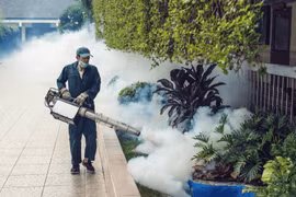 Hà Nội triển khai nhiều biện pháp mạnh khống chế dịch SXH