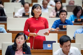 Cần giới hạn quyền sử dụng đất của đơn vị sự nghiệp công lập