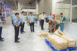 Lực lượng Hải quan đã phát hiện và xử lý 14.141 vụ vi phạm trong 10 tháng đầu năm