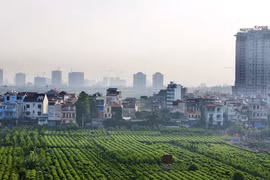 Phê duyệt đề cương “Đề án nông nghiệp đô thị thành phố Hà Nội”