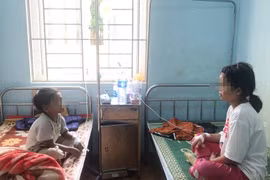 Gia Lai: 3 cháu nhỏ bị ngộ độc do ăn thịt cóc, một bé 2 tuổi đã tử vong