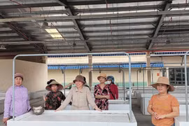 Vụ tiểu thương chợ Đông Phú phản đối vào chợ mới: Chủ tịch Quảng Nam chỉ đạo giải quyết
