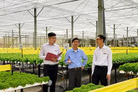 Agribank tiếp tục điều chỉnh giảm lãi suất đối với toàn bộ dư nợ hiện hữu của khách hàng