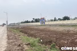 Ninh Bình: Dọn dẹp bùn, rác thải trước cổng các cơ quan nhà nước huyện Kim Sơn sau phản ánh của báo Công luận