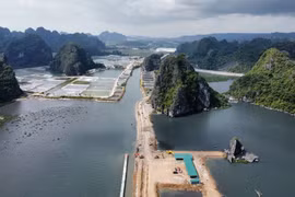 Tạm dừng thi công dự án đô thị lấn biển Hạ Long