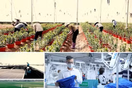 Doanh nghiệp chuyển đổi xanh - Cơ hội và thách thức