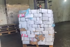Phát hiện 5,6 tấn dạ dày lợn đông lạnh không rõ nguồn gốc chuẩn bị "tuồn" ra thị trường