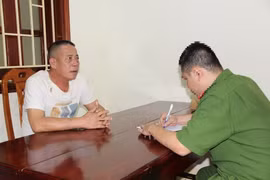 Khởi tố đối tượng tàng trữ 2 cá thể báo đã chết ở Nghệ An