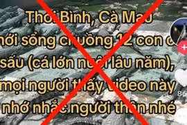 Cà Mau: Xử phạt người tung tin thất thiệt về việc 12 con cá sấu sổng chuồng