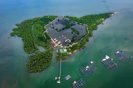 Vũng Tàu tạo sự hấp dẫn với tour du lịch mới