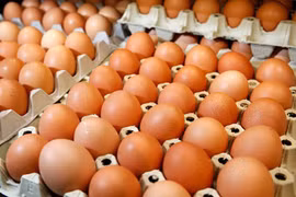 Sau 4 năm, Hồng Kông (Trung Quốc) bỏ lệnh cấm nhập khẩu trứng gia cầm Việt Nam