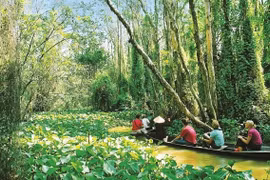 Đồng Tháp thúc đẩy phát triển du lịch thành ngành kinh tế mũi nhọn
