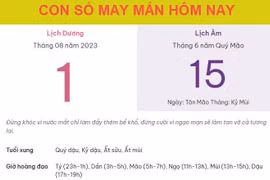 Con số may mắn hôm nay 1/8/2023 thứ 3, ngày 15/6 âm lịch