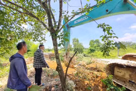 Người dân xã Ngọc Sơn tự nguyện hiến đất làm đường