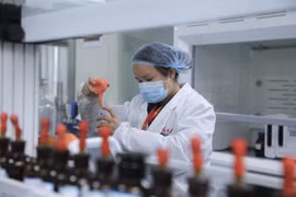 Trung Quốc: Thiếu nhân tài, các tập đoàn thi nhau chiêu mộ Hoa kiều