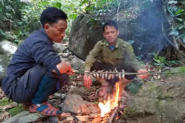 Kiểm lâm tỉnh Thừa Thiên Huế được gì sau 47 năm thành lập