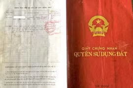 Gia Lai: Nhiều hộ dân tố giác bị một cá nhân lừa đảo, chiếm đất khi chuyển đổi sổ đỏ từ cũ sang mới