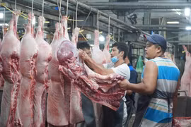 Việt Nam xuất khẩu hơn 5.800 tấn thịt và sản phẩm từ thịt