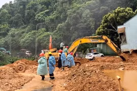Tập trung ứng phó với mưa lũ, khắc phục sạt lở khu vực Trung Bộ, Tây Nguyên.
