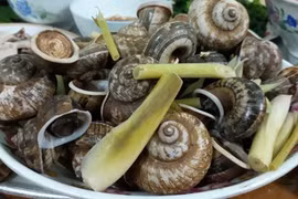 Hấp dẫn món ốc đá Ninh Bình