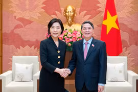 Mối quan hệ truyền thống giữa Hàn Quốc và Việt Nam đã được nhiều thế hệ vun đắp