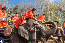 Hấp dẫn Hội voi Buôn Đôn