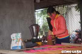 Làng nghề làm hương Tây Lân tất bật vào vụ Tết