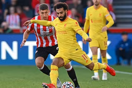 Nhận định Brentford vs Liverpool, 00h30 ngày 3/1, vòng 19 Ngoại hạng Anh