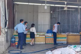 Khánh Hòa: Phát hiện 5 tấn thịt, nội tạng lợn hôi thối chuẩn bị "nam tiến"