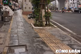 Hà Nội: Nhiều cột điện, cây xanh nằm chễm chệ trên phần đường của người khiếm thị