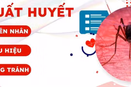 Hà Nội: Số mắc sốt xuất huyết ở quận Đống Đa và quận Cầu Giấy tăng vọt