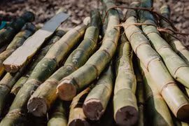Ngành mía đường Việt Nam - nguồn cung đường tỉ lệ nghịch với nhu cầu tiêu thụ