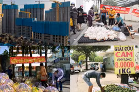 Tiêu điểm: Đừng lợi dụng giải cứu