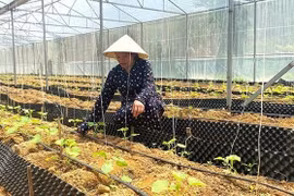 Cần những giải pháp tháo gỡ kịp thời để sớm phát huy hiệu quả sử dụng nguồn vốn