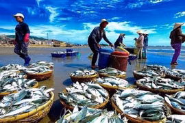 Chứng khoán 9/2: Cổ phiếu thủy sản “ngược dòng”