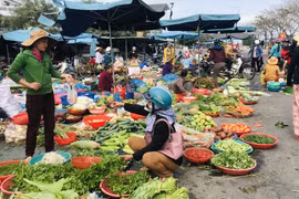 Hàng hóa ùn ùn về các chợ, mặt bằng giá cả mùng 5 Tết sẽ ổn định