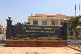 Kinh doanh lao dốc cổ phiếu vẫn tăng giá gấp đôi, lãnh đạo Lizen (LCG) nhanh chóng bán 5 triệu cổ phiếu