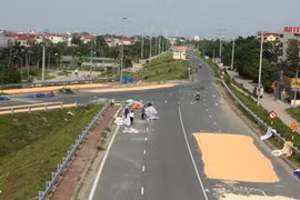 Hà Nội: Xử lý các vi phạm phơi thóc lúa trên đường bộ