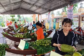 Cần Thơ tổ chức lễ hội Tết Ðoan Ngọ 2023 tại cù lao Tân Lộc