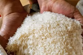 Nông nghiệp Việt Nam phá vỡ ‘lời nguyền’ được mùa thì mất giá