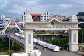 Lào Cai: Hai doanh nghiệp bị cưỡng chế vì nợ hơn 108 tỷ đồng thuế xuất nhập khẩu