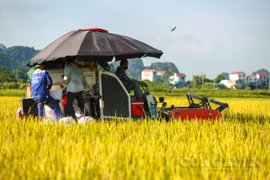 Trong 11 tháng, tổng kim ngạch xuất, nhập khẩu nông lâm thủy sản của Việt Nam ước đạt 85,13 tỷ USD