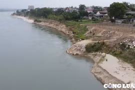 Tiếp tục sạt lở nghiêm trọng ở bờ sông Đà, 150 hộ dân ở Phú Thọ bị đe dọa