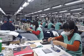 Kinh doanh khó khăn, May Thanh Trì (TTG) phải vay tiền của Chủ tịch HĐQT