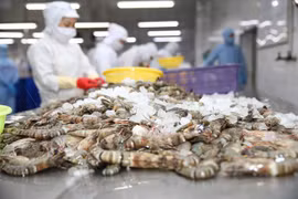 Xuất khẩu tôm sang EU tiếp tục đà tăng trưởng