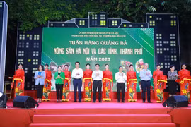 Quảng bá nông sản của nhiều địa phương tới người tiêu dùng Hà Nội
