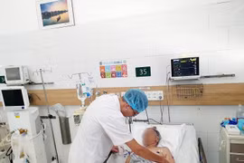 Cụ bà 90 tuổi bị ong vò vẽ đốt nguy kịch: Cứu chữa thế nào đúng cách?