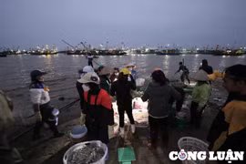 Nam Định: Nhộn nhịp phiên chợ cá sáng bến Giao Hải